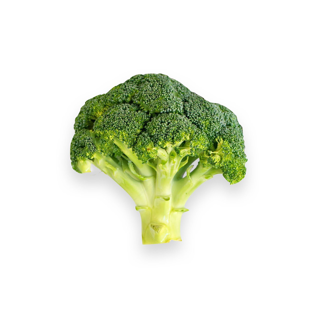 Brokoli - Quality Farm: Supplier Sayuran Organik Terlengkap Harga Terbaik